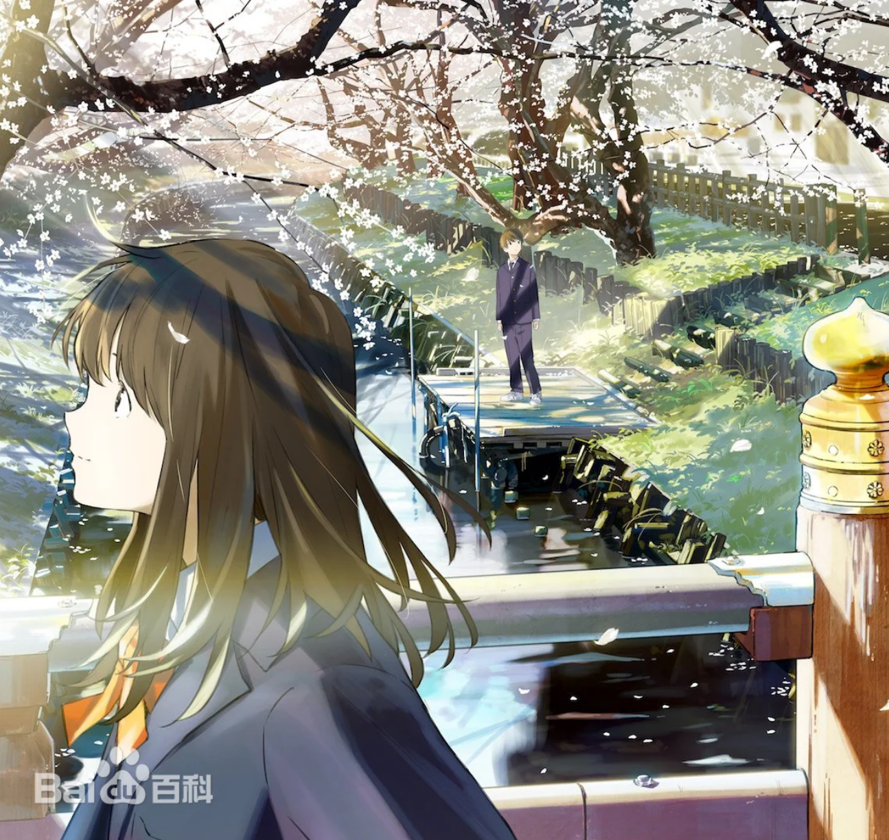 image-20250720202944955