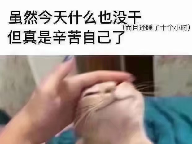 个人今后规划及学习计划相关